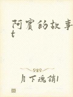 阿宾的故事txt