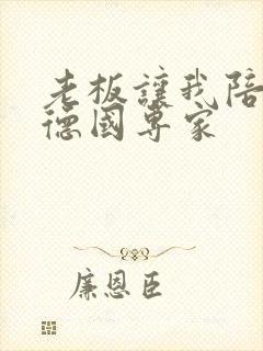 老板让我陪两个德国专家