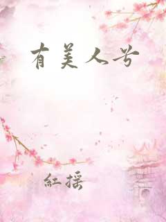 有美人兮