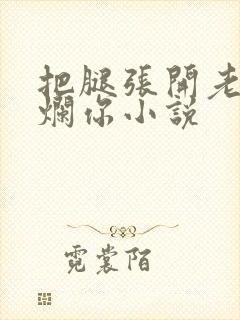 把腿张开老子臊烂你小说