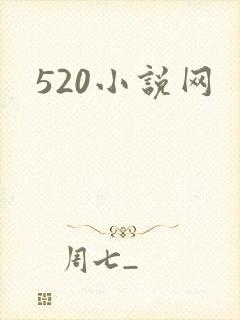 520小说网