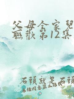 父母全家儿女大联欢第12集