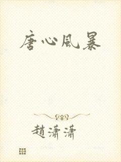 唐心风暴