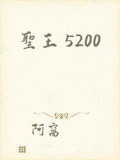 圣王 5200