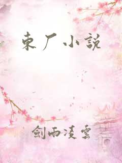 东厂小说