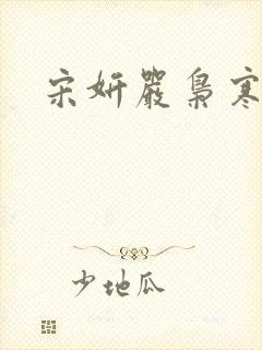 宋妍严枭寒