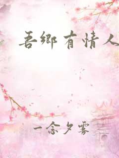 吾乡有情人小说