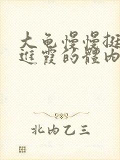 大龟慢慢挺进王进霞的体内