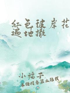 红色彼岸花花瓣遍地撒