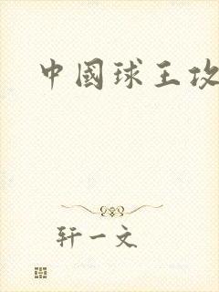中国球王攻略