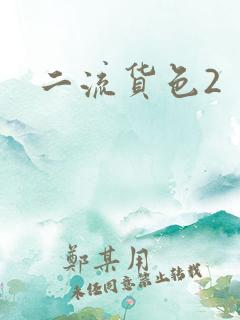 二流货色2