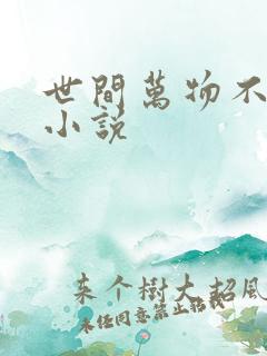 世间万物不及你小说