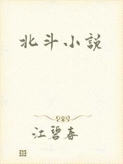 北斗小说
