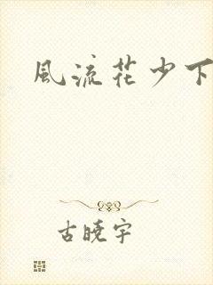 风流花少下载