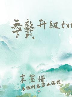 无敌升级txt下载