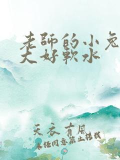 老师的小兔子好大好软水