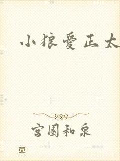 小狼爱正太