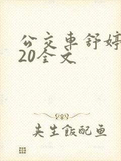 公交车舒婷1一20全文