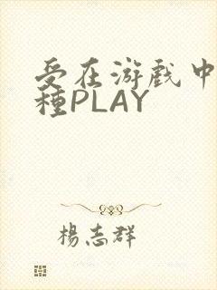 受在游戏中被各种PLAY