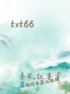 txt66