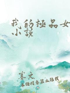 我的极品女老师小说