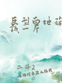 巨型白地菇多少钱一斤