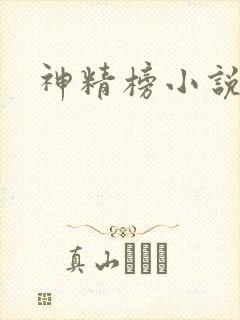 神精榜小说