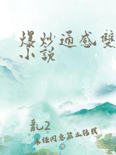 爆炒通感双胞胎小说