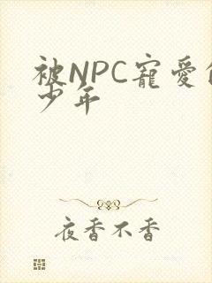 被NPC宠爱的少年