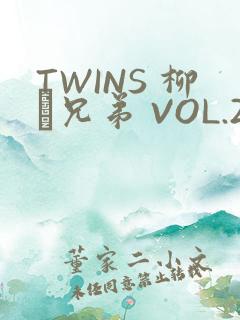 TWINS 柳澤兄弟 VOL.2