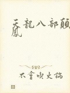 天龙八部颠龙鸾凤