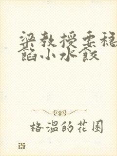 梁教授要稳住肉馅小水饺