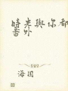 时光与你都很甜番外