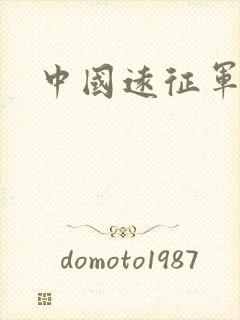 中国远征军小说