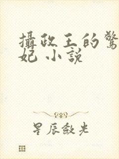 摄政王的惊世嫡妃 小说