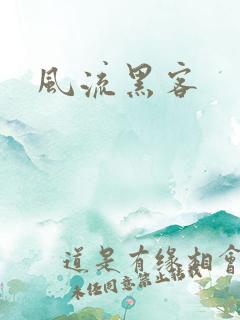 风流黑客