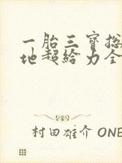 一胎三宝总裁爹地超给力全文免费阅读