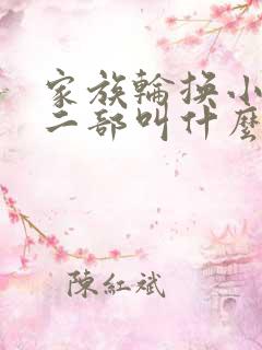 家族轮换小说第二部叫什么名字