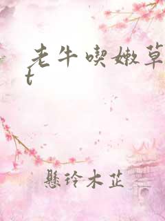 老牛吃嫩草txt