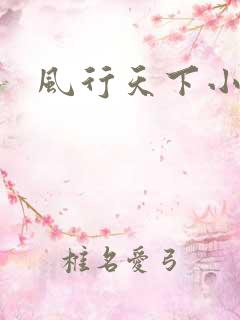 风行天下小说