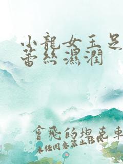 小龙女玉足娇喘蕾丝湿润