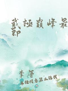 武极巅峰最新章节