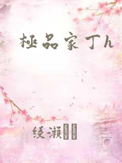 极品家丁h