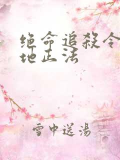 绝命追杀令2就地正法