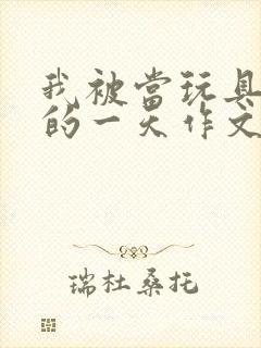 我被当玩具发泄的一天作文