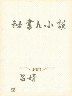 秘书h小说