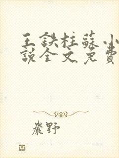 王铁柱苏小汐小说全文免费阅读最新章节