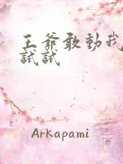 王爷敢动我妈咪试试