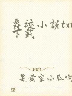爵迹小说txt下载