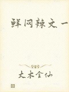 鲜网辣文一对一